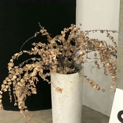 兽设线稿临摹素材福瑞群